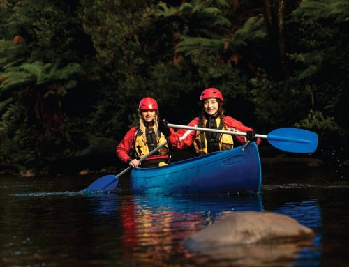 A CLEAR SENSE OF PURPOSE