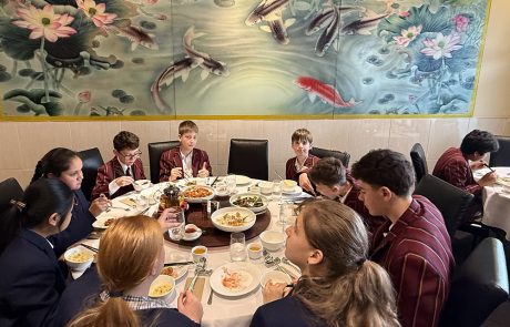 chinese5-news-term3-2026