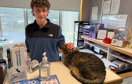 news-work-experience-26-4