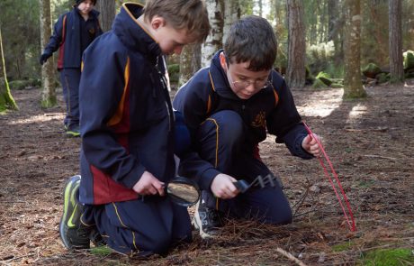 year-4-hollybank-term3-2026-127