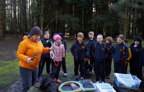 year-4-hollybank-term3-2026-95